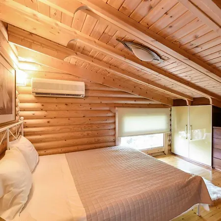- Wooden Villa *