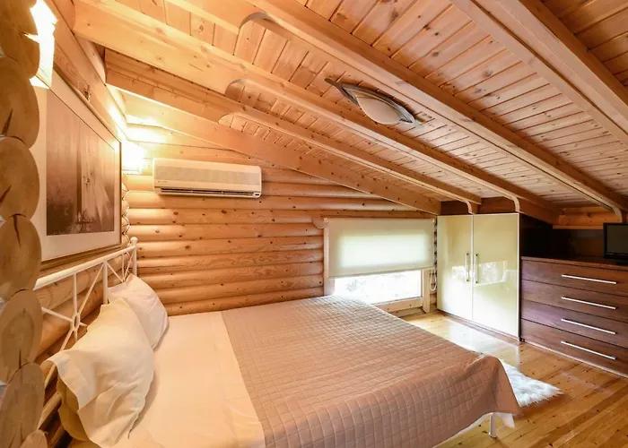 - Wooden Villa *